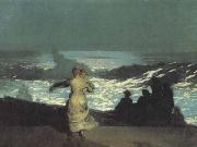 Winslow Homer A Summer Night (san39) Germany oil painting reproduction